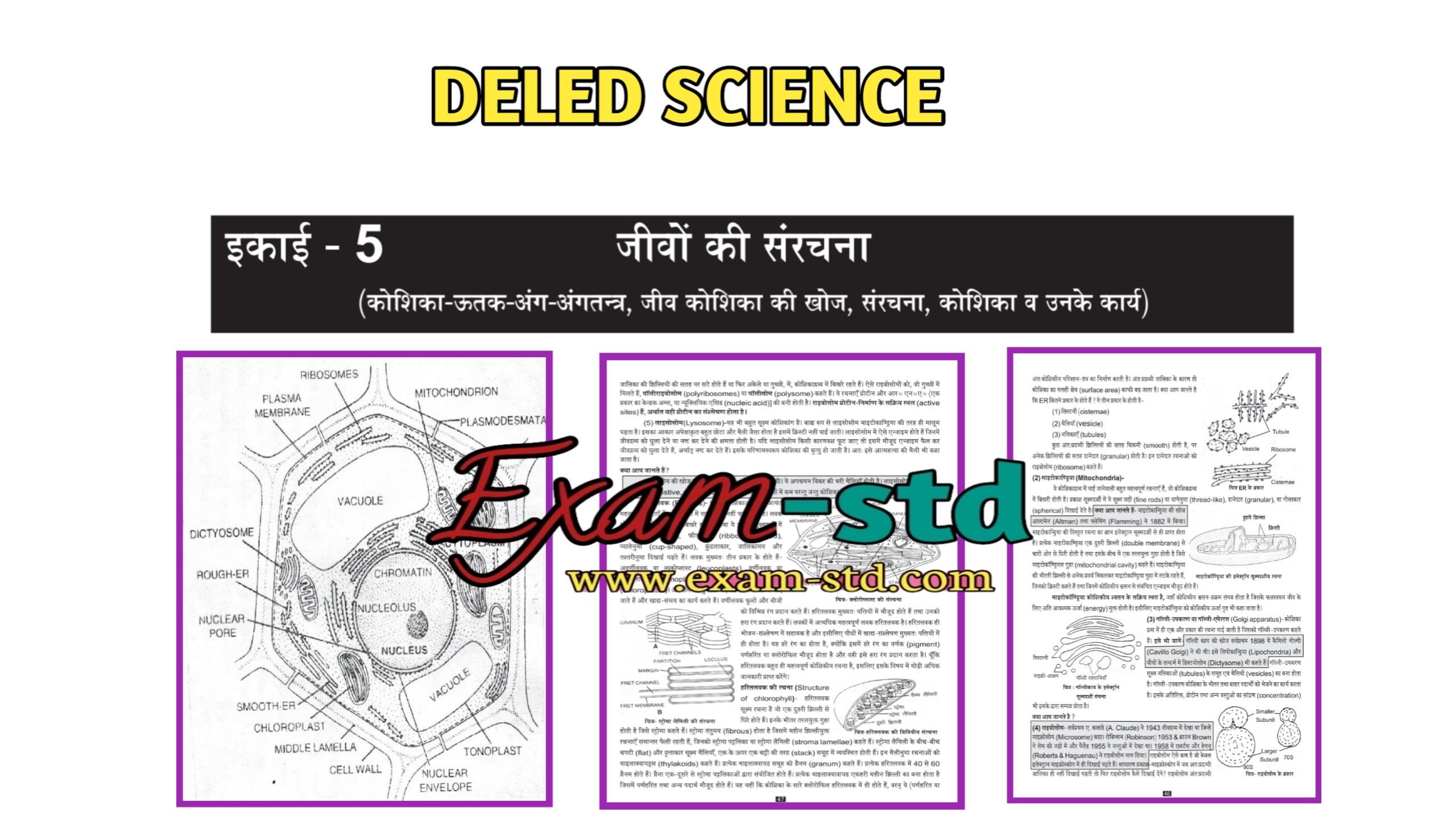 Deled science notes in hindi, jiwo ki sanrachana, exam-std