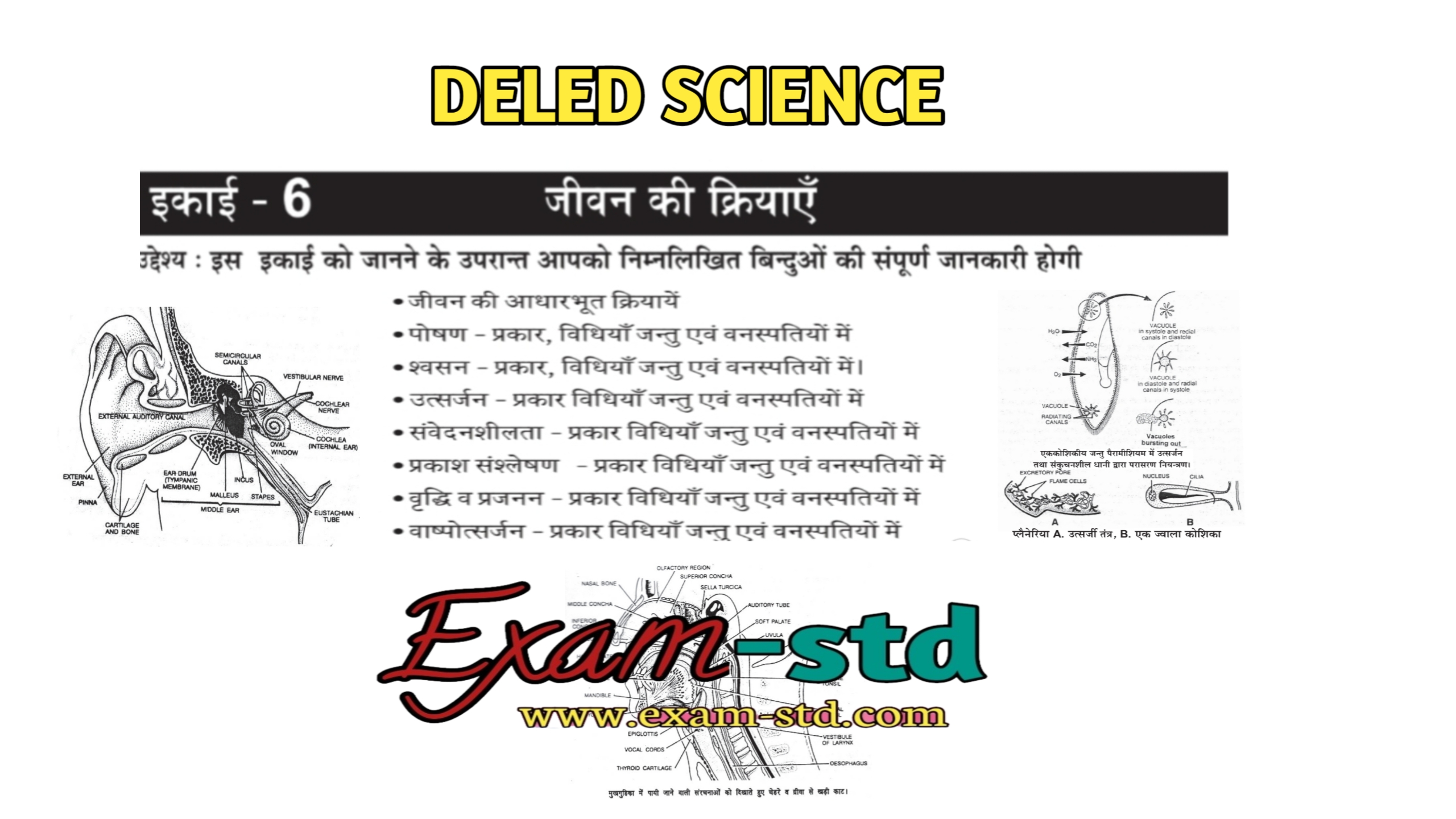 Deled science notes in hindi, jivan ki kriyaye, Roshan, shwasan, utsarjan, sanvedanshilta, Prakash sanshleshan, wradhi awam prajna, wadhpotsarjsn