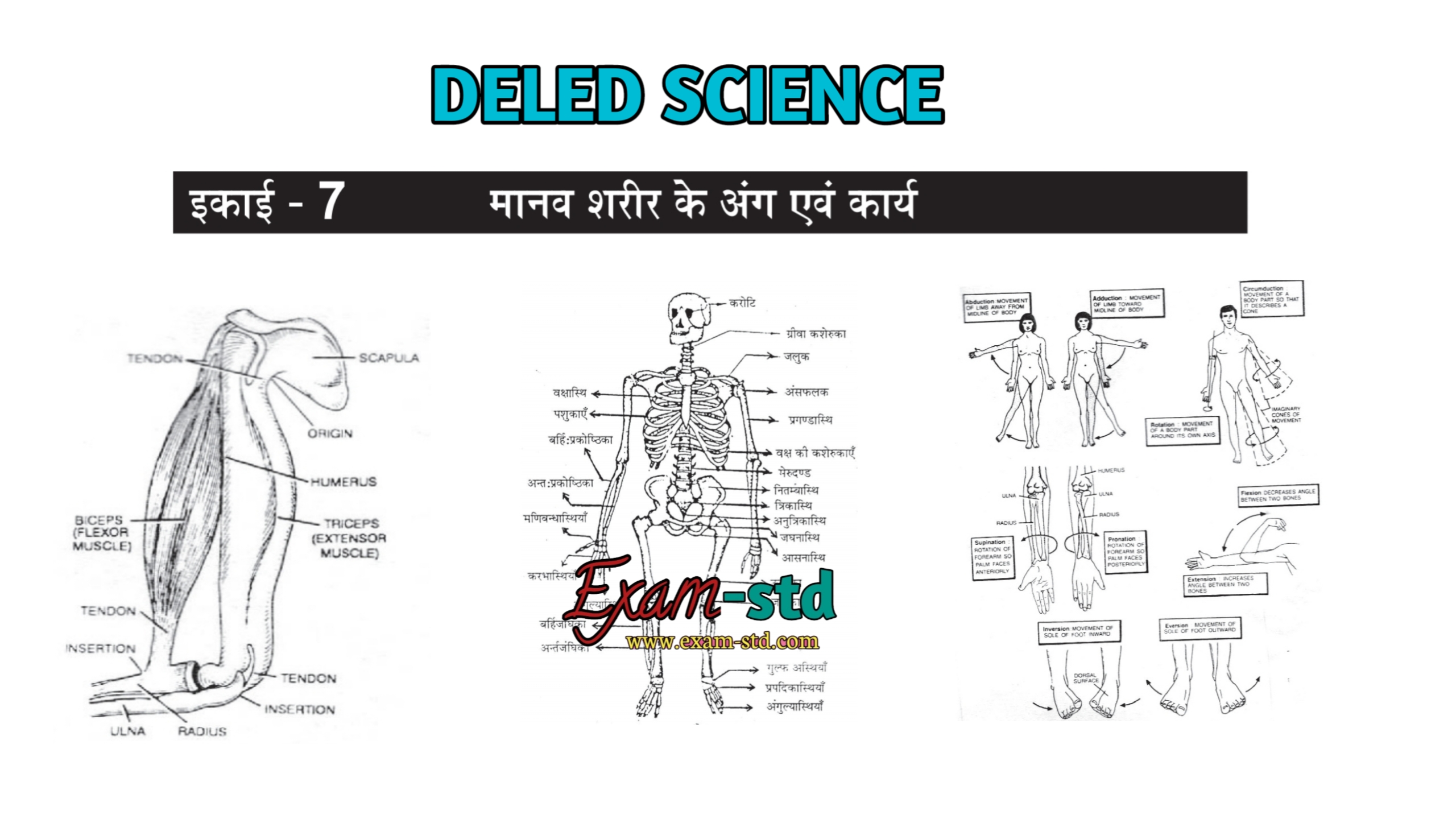 Deled 2nd Semester Science - Chapter -7 मानव शरीर के अंग एवं कार्य